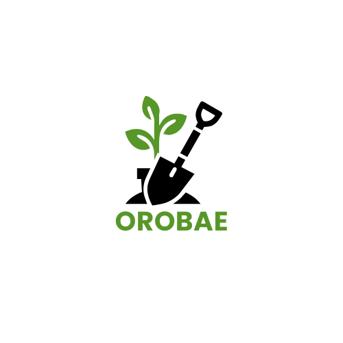 orobae.net